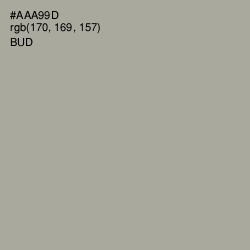 #AAA99D - Bud Color Image