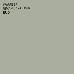 #AAAE9F - Bud Color Image