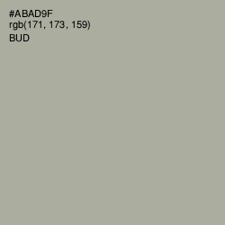 #ABAD9F - Bud Color Image