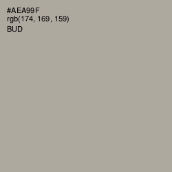 #AEA99F - Bud Color Image