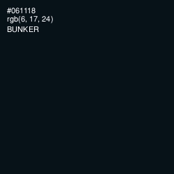 #061118 - Bunker Color Image