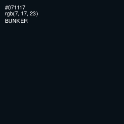 #071117 - Bunker Color Image