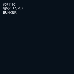 #07111C - Bunker Color Image