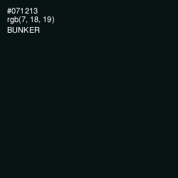 #071213 - Bunker Color Image