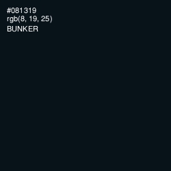 #081319 - Bunker Color Image