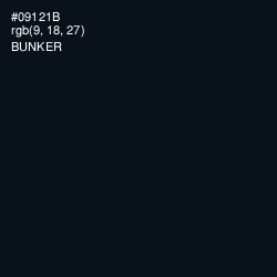 #09121B - Bunker Color Image
