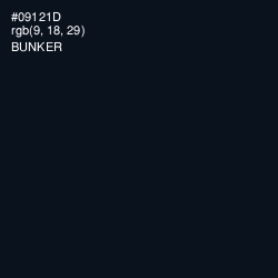 #09121D - Bunker Color Image