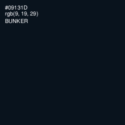 #09131D - Bunker Color Image