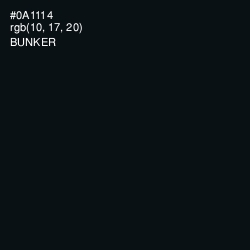 #0A1114 - Bunker Color Image