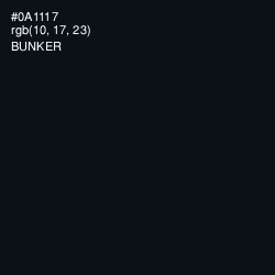#0A1117 - Bunker Color Image