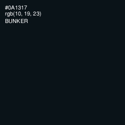 #0A1317 - Bunker Color Image