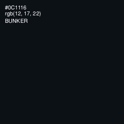 #0C1116 - Bunker Color Image