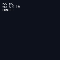 #0C111C - Bunker Color Image