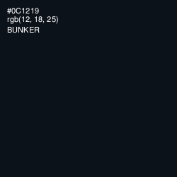 #0C1219 - Bunker Color Image