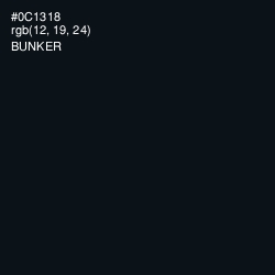 #0C1318 - Bunker Color Image