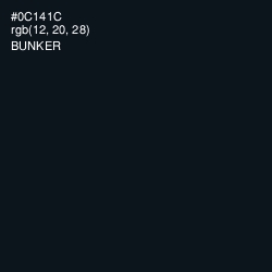 #0C141C - Bunker Color Image