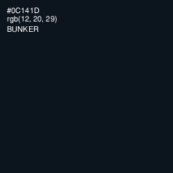 #0C141D - Bunker Color Image