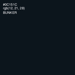 #0C151C - Bunker Color Image