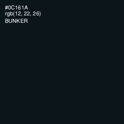 #0C161A - Bunker Color Image