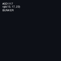 #0D1117 - Bunker Color Image
