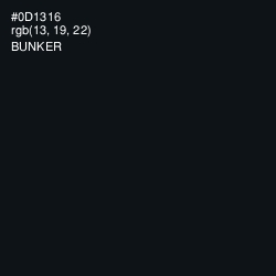 #0D1316 - Bunker Color Image