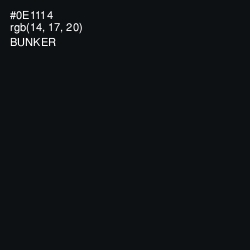 #0E1114 - Bunker Color Image