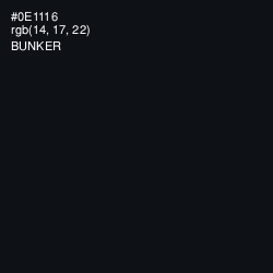 #0E1116 - Bunker Color Image