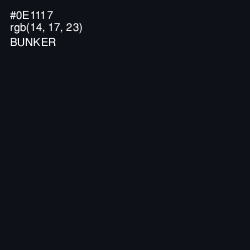 #0E1117 - Bunker Color Image