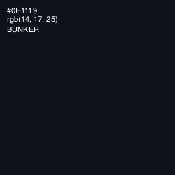 #0E1119 - Bunker Color Image