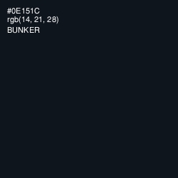#0E151C - Bunker Color Image