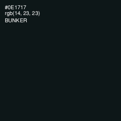 #0E1717 - Bunker Color Image