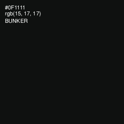 #0F1111 - Bunker Color Image