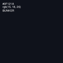 #0F121A - Bunker Color Image