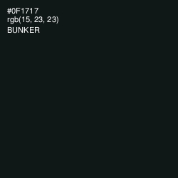 #0F1717 - Bunker Color Image
