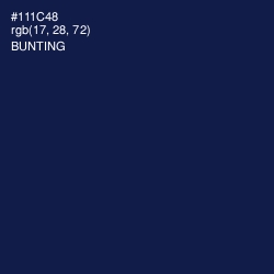 #111C48 - Bunting Color Image