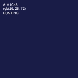 #1A1C48 - Bunting Color Image