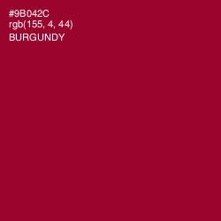 #9B042C - Burgundy Color Image