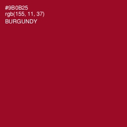 #9B0B25 - Burgundy Color Image