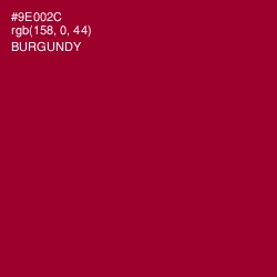 #9E002C - Burgundy Color Image