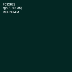 #032823 - Burnham Color Image