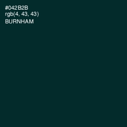 #042B2B - Burnham Color Image