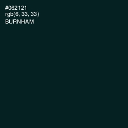 #062121 - Burnham Color Image
