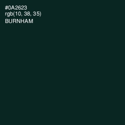 #0A2623 - Burnham Color Image