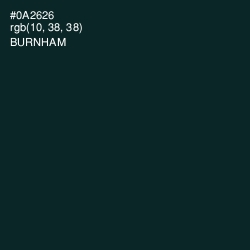 #0A2626 - Burnham Color Image