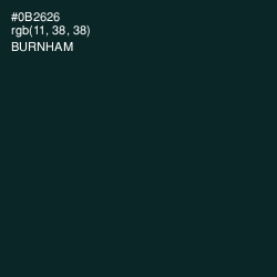 #0B2626 - Burnham Color Image