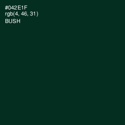 #042E1F - Bush Color Image