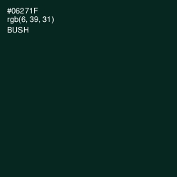 #06271F - Bush Color Image