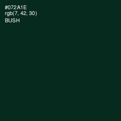 #072A1E - Bush Color Image