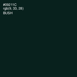 #09211C - Bush Color Image