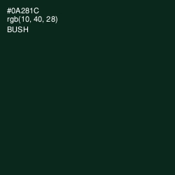 #0A281C - Bush Color Image